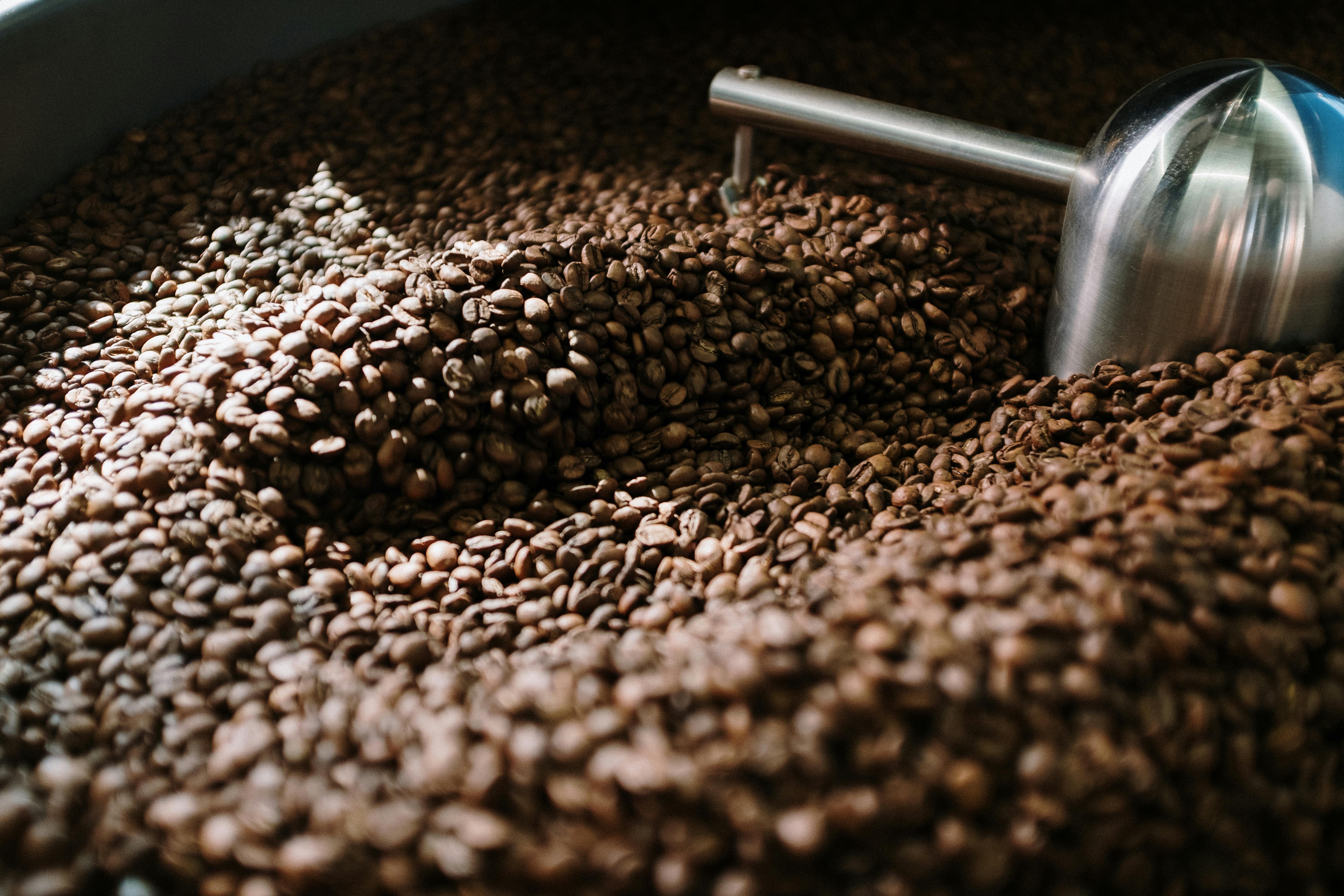 Coffee Making Step 2